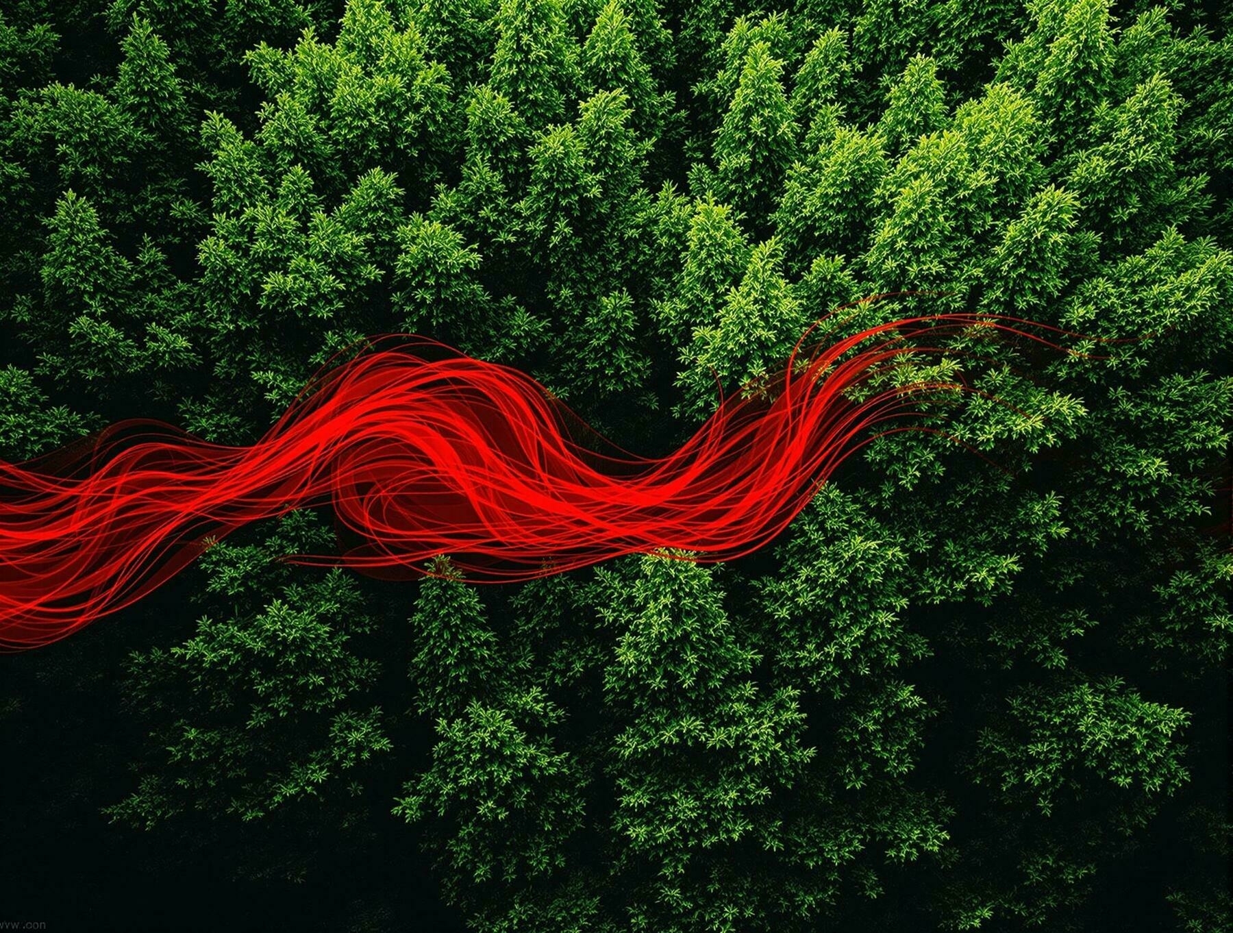 A forest of lush green trees is intersected by a dynamic, swirling red ribbon-like shape, visualising the cooperation of Mistral with Black Forest Labs.